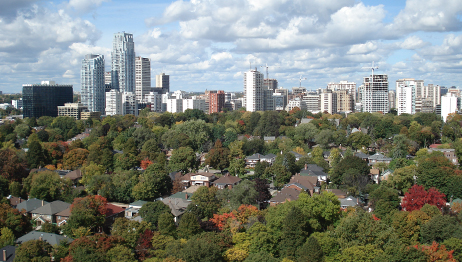Davisville Village parks and recreation