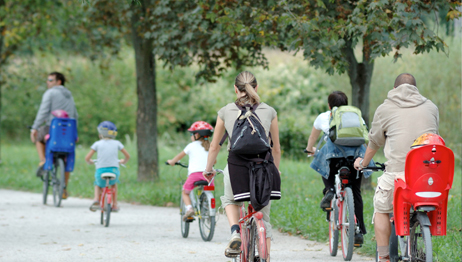 Parks and recreation in Teddington Park